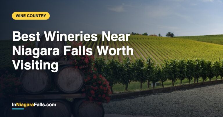 Best Wineries Near Niagara Falls Worth Visiting
